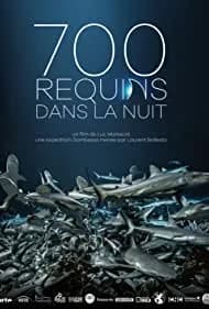 700 requins dans la nuit 2018