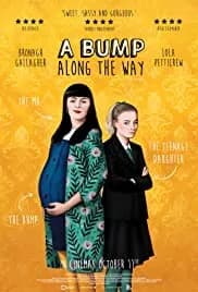 A Bump Along the Way 2019