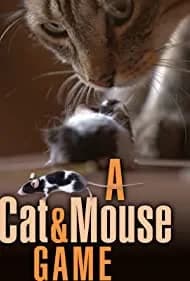 A Cat and Mouse Game 2019