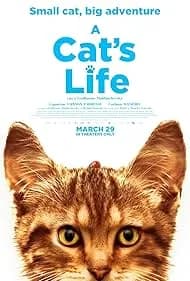A Cat's Life 2023