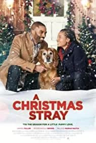 A Christmas Stray 2021