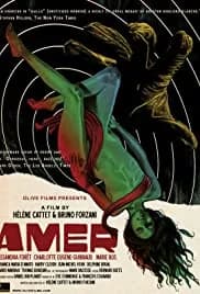 Amer 2009