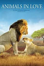 Animals in Love 2007