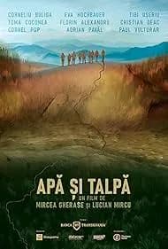 Apa si talpa 2024