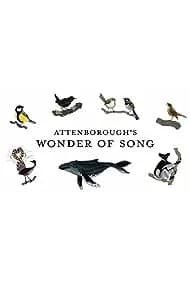 Attenborough's Wonder of Song (2022)