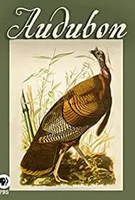 Audubon (2017)