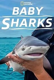 Baby Sharks 2023