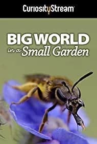 Big World in a Small Garden 2016