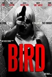 Bird 2020