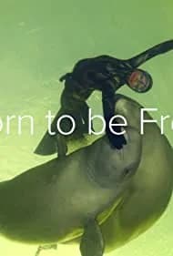 Born to Be Free 2016