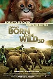 Born to Be Wild 2011