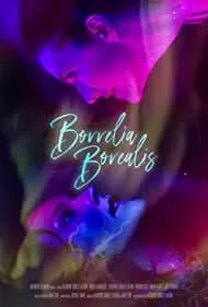 Borrelia Borealis 2021