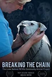 Breaking the Chain 2020