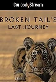 Broken Tail (2010)