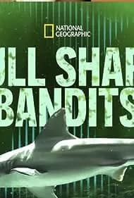 Bull Shark Bandits 2023