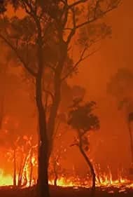 Burning (2021)