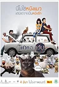 Cat a Wabb 2015