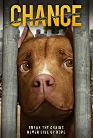 Chance 2019