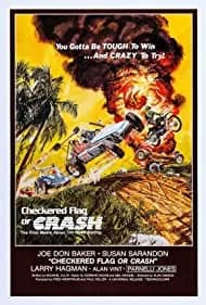 Checkered Flag or Crash (1977)