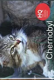 Chernobyl Reclaimed: An Animal Takeover 2007