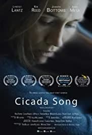Cicada Song 2019
