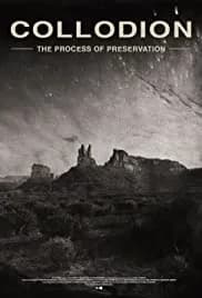 Collodion: The Process of Preservation 2020