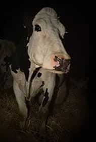 Cow (2021)