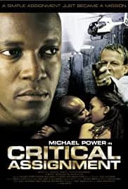 Critical Assignment 2004