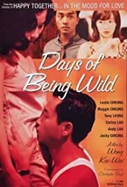 Days of Being Wild (1990)