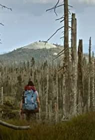 Der Wilde Wald 2021