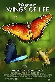 Disneynature: Wings of Life 2013