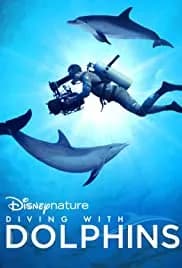 Diving with Dolphins 2020