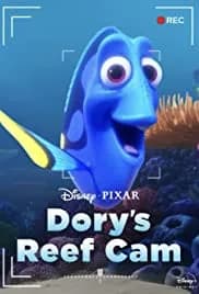 Dory's Reef Cam 2020