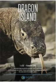 Dragon Island 2016