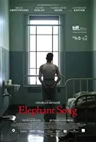 Elephant Song 2014