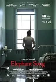 Elephant Song 2015