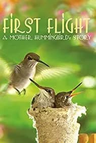 First Flight: A Mother Hummingbird's Story 2009