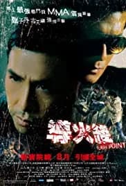 Flash Point (2007)