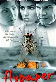 Flypaper (1999)