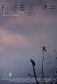 Forest: I See You Everywhere (2021)