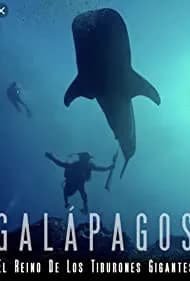 Galapagos: Realm of Giant Sharks 2012