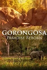 Gorongosa: Paradise Reborn 2022