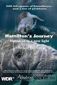 Hamilton's Journey: Manatees in a New Light 2014