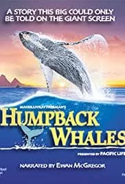 Humpback Whales (2015)