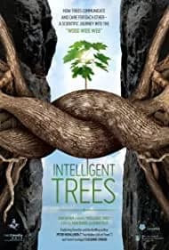 Intelligent Trees 2016