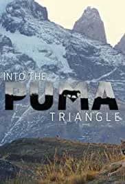 Into the Puma Triangle 2020