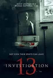 Investigation 13 2019