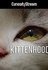 Kittenhood 2015