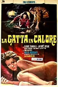 La gatta in calore 1972
