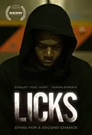 Licks 2013